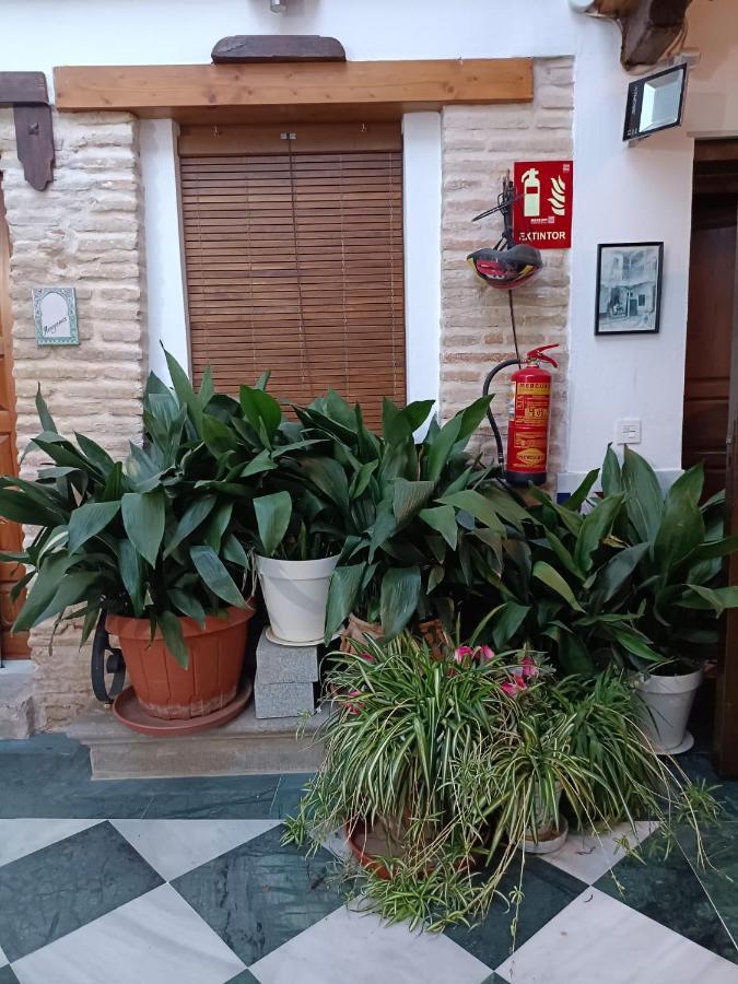Apartamento Patio De Los Leones Grenade Extérieur photo